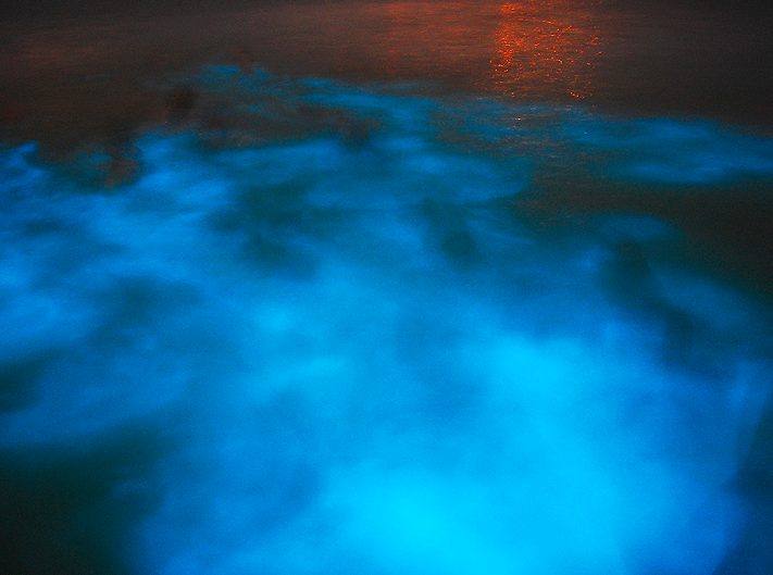Go to the Luminous Lagoon